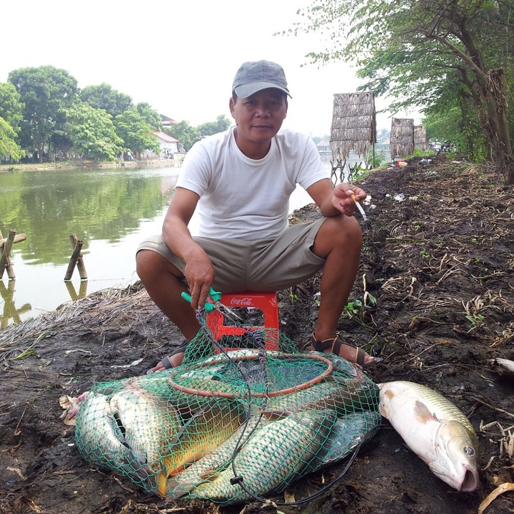 COMBO 2 chai tinh mùi câu cá trắm chép trôi thái lan M21, sản phẩm dùng làm mồi nhử hoặc thính dụ cá mè trôi chép đen trắm cỏ hiệu quả (chai 58ml)