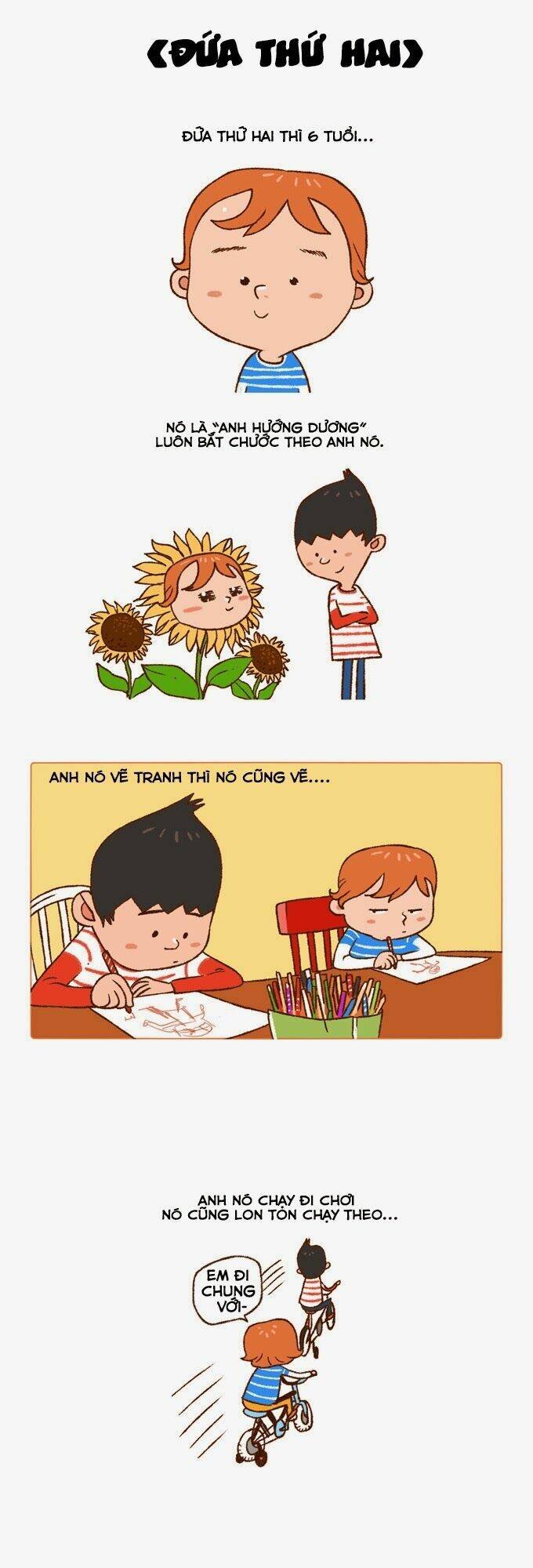 family size chapter 1 3