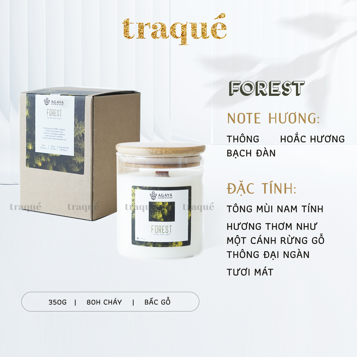 Nến thơm tinh dầu cao cấp không khói an toàn Candle Cup - FOREST/HƯƠNG RỪNG - L - 350G