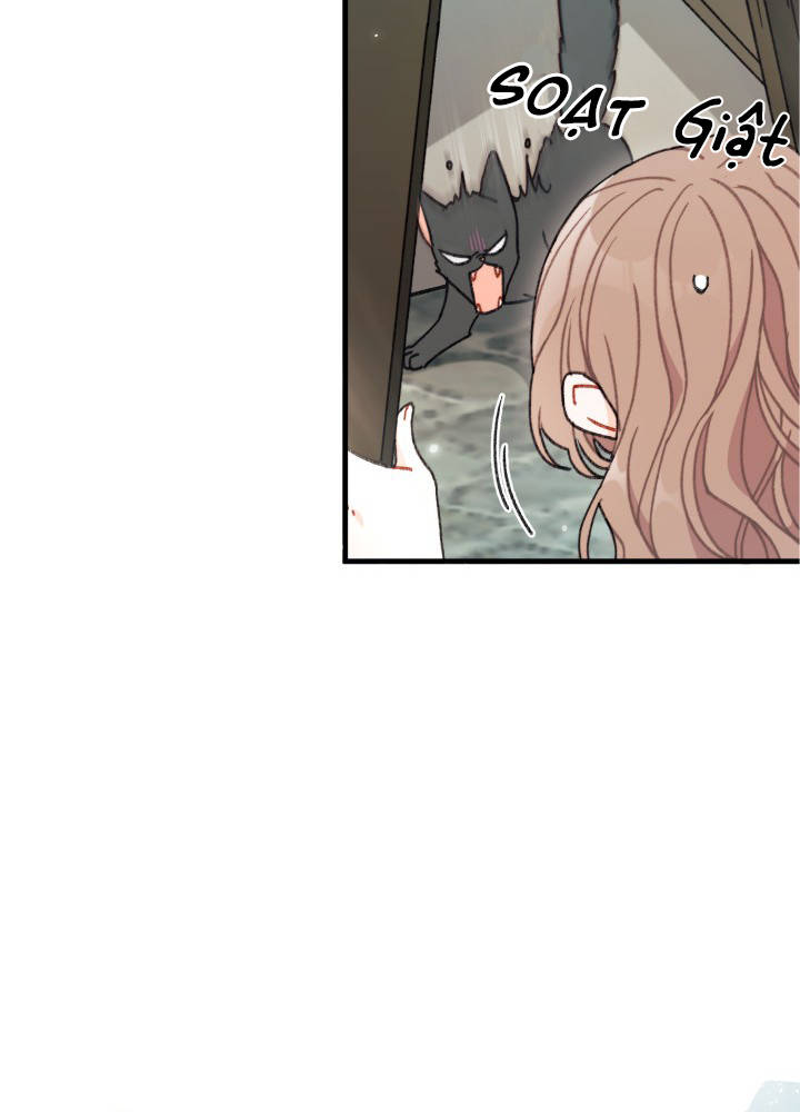 tôi đã kết hôn khi tôi tìm thấy nam chính chapter 3 17