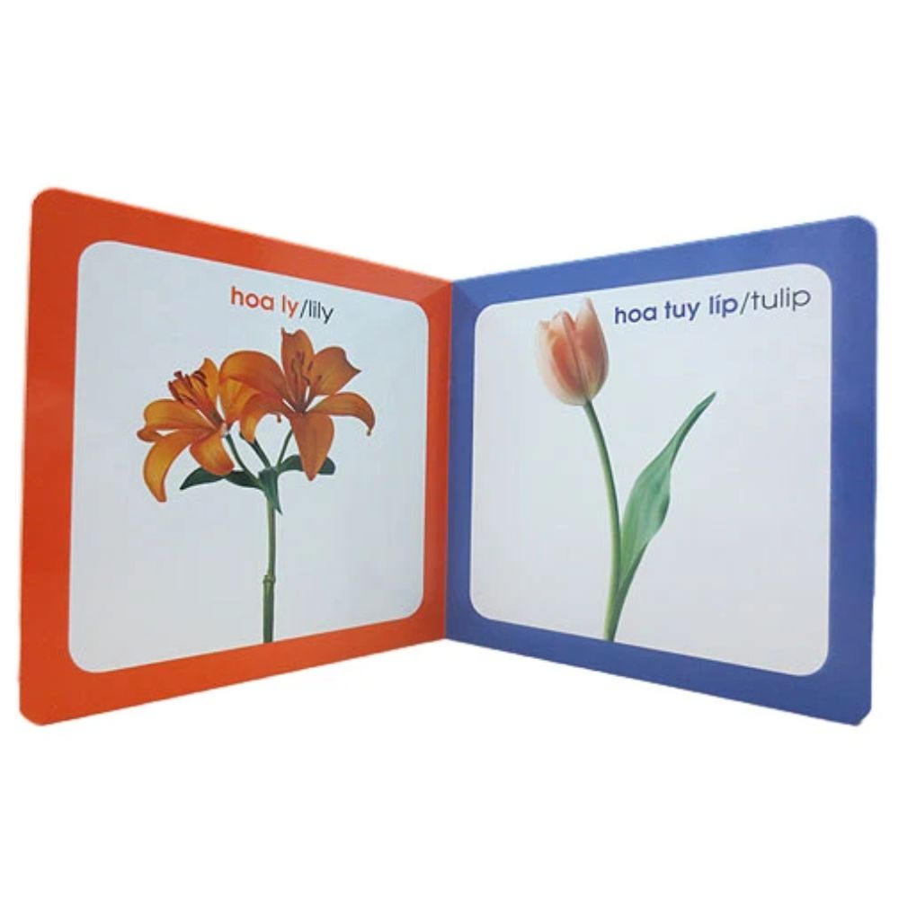Từ Điển Hình Ảnh Cho Bé: Hoa (Tái Bản 2019)
