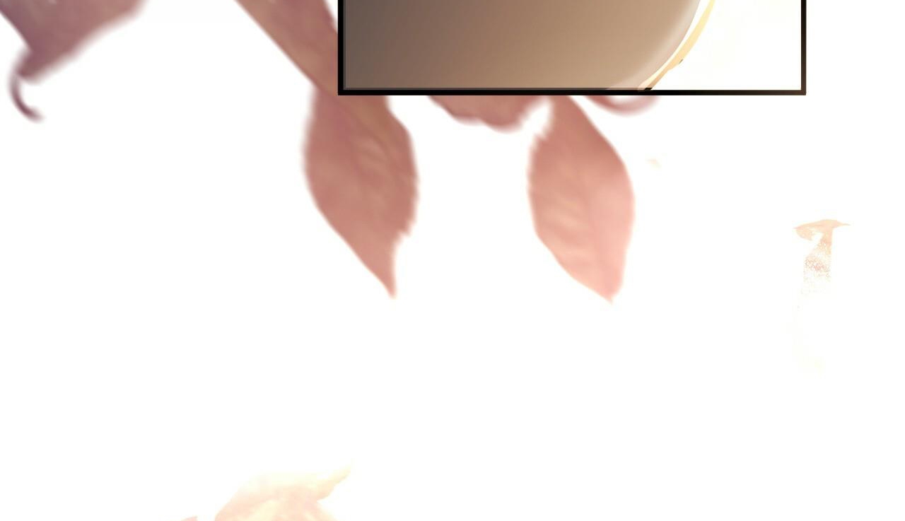 đàn thỏ của habibi chapter 48 296