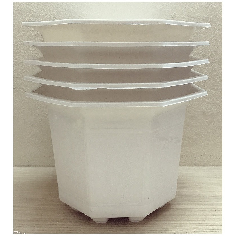 5 Chậu Nhựa Bát Giác 210x170 Màu Trắng