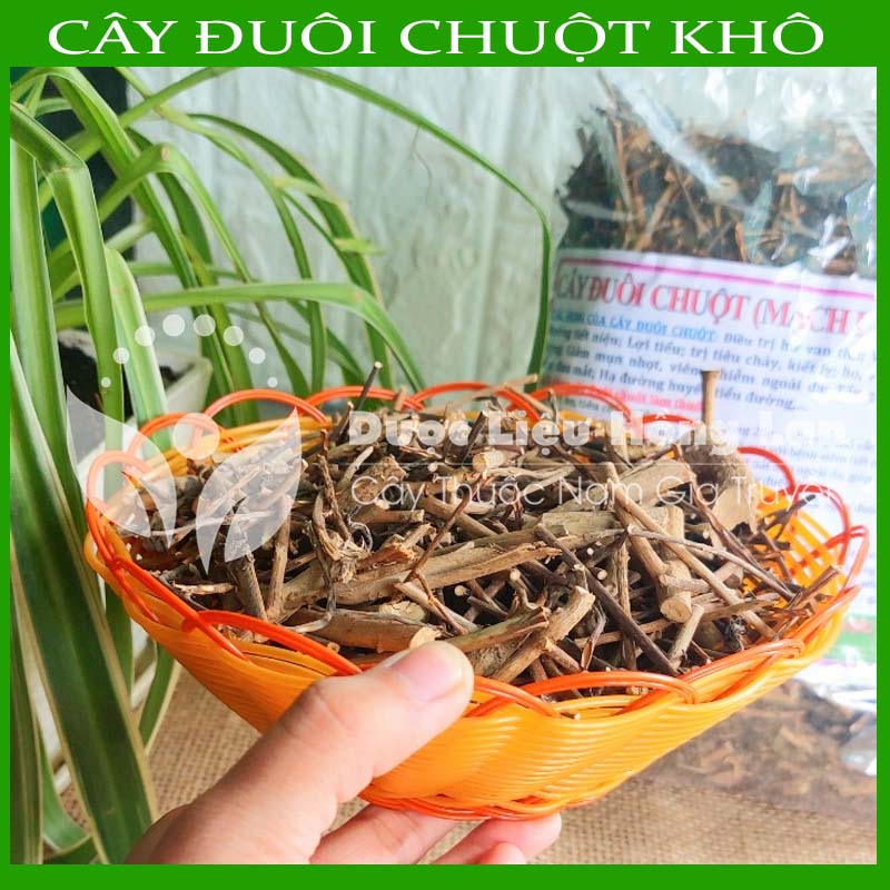 Cây Đuôi Chuột khô đóng gói 500gram