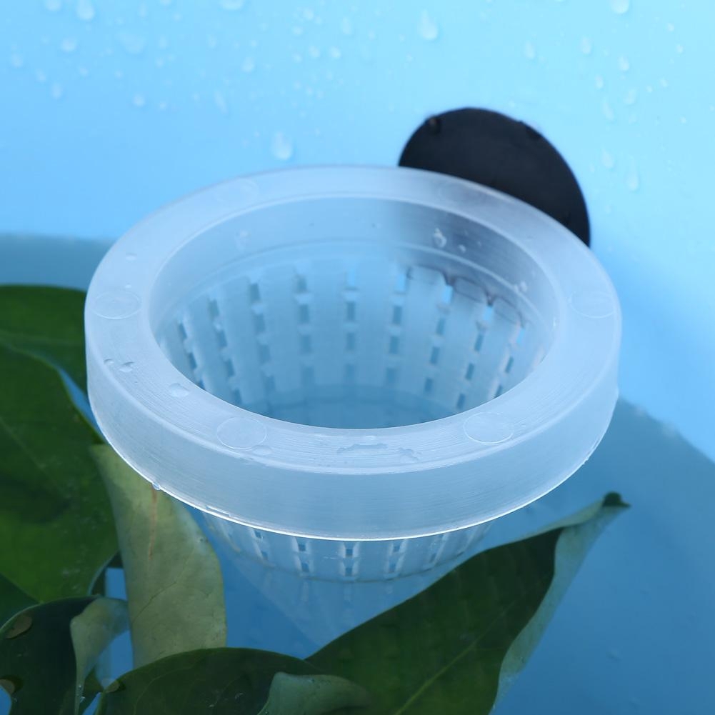 Phễu Đựng Giun-Phễu Đựng Thức Ăn Cho Cá - Giao Màu Ngẫu Nhiên