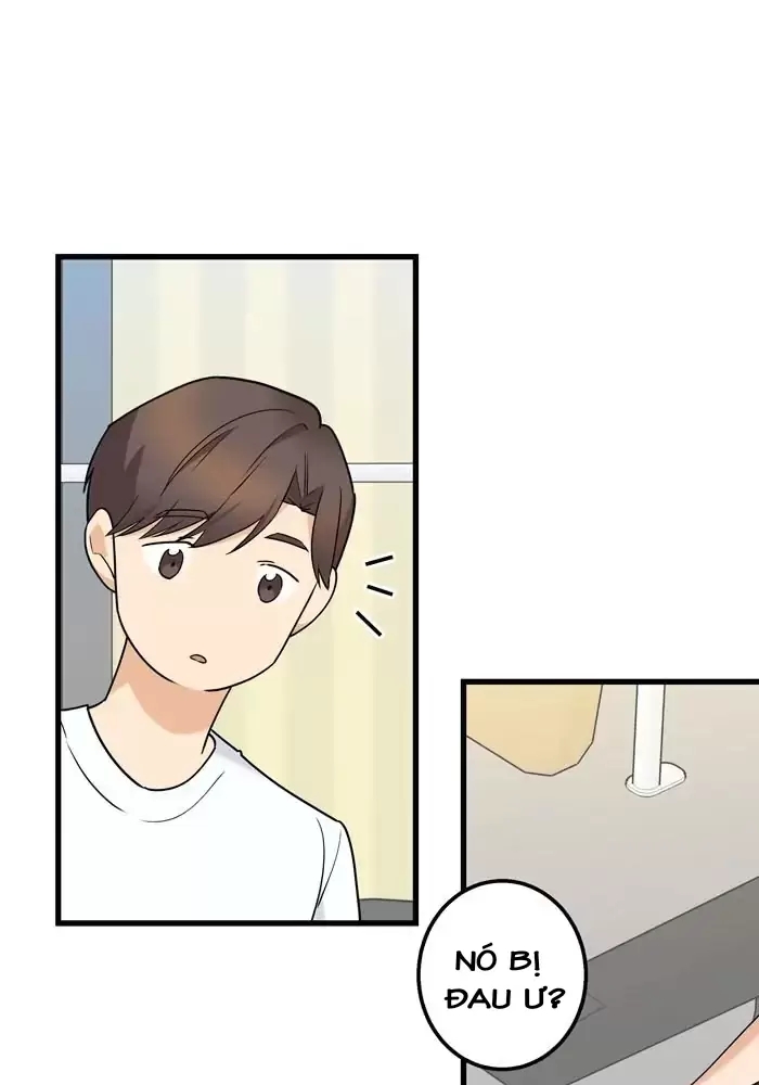 anh bạn của tôi đang phát sáng kìa ! chapter 31 39