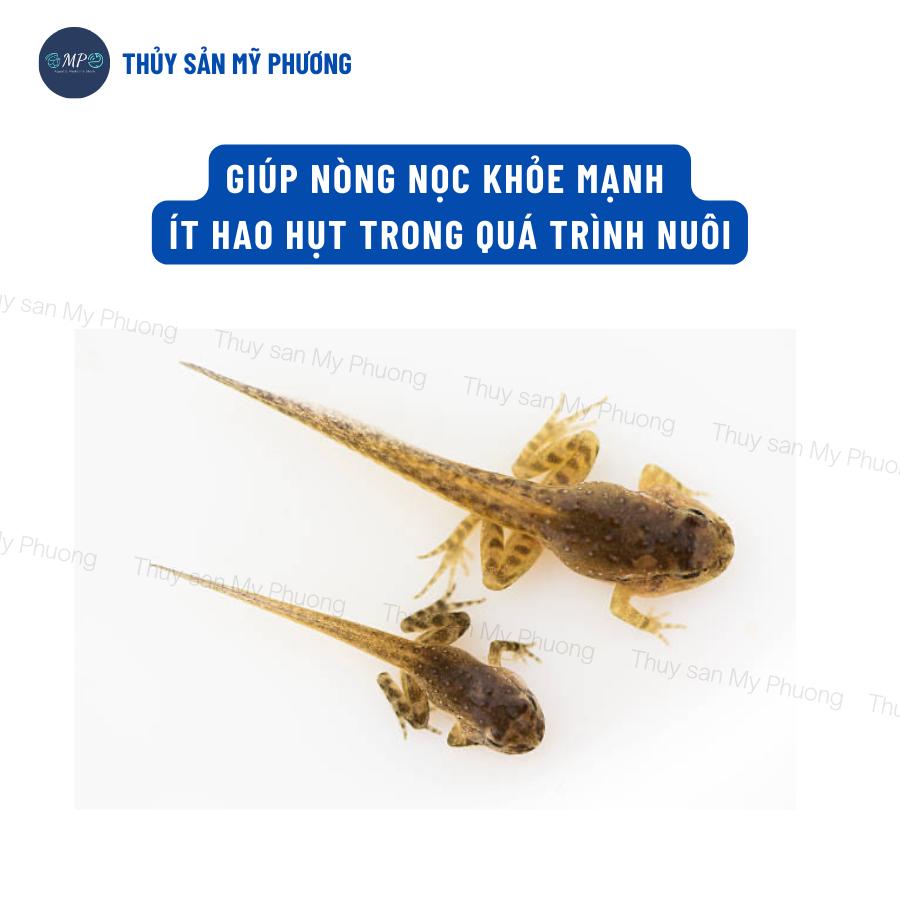Siêu tăng trọng đạm thủy phân Masol Forte chắc thịt nặng cân chống sốc cho tôm thẻ cá lươn ếch ốc baba