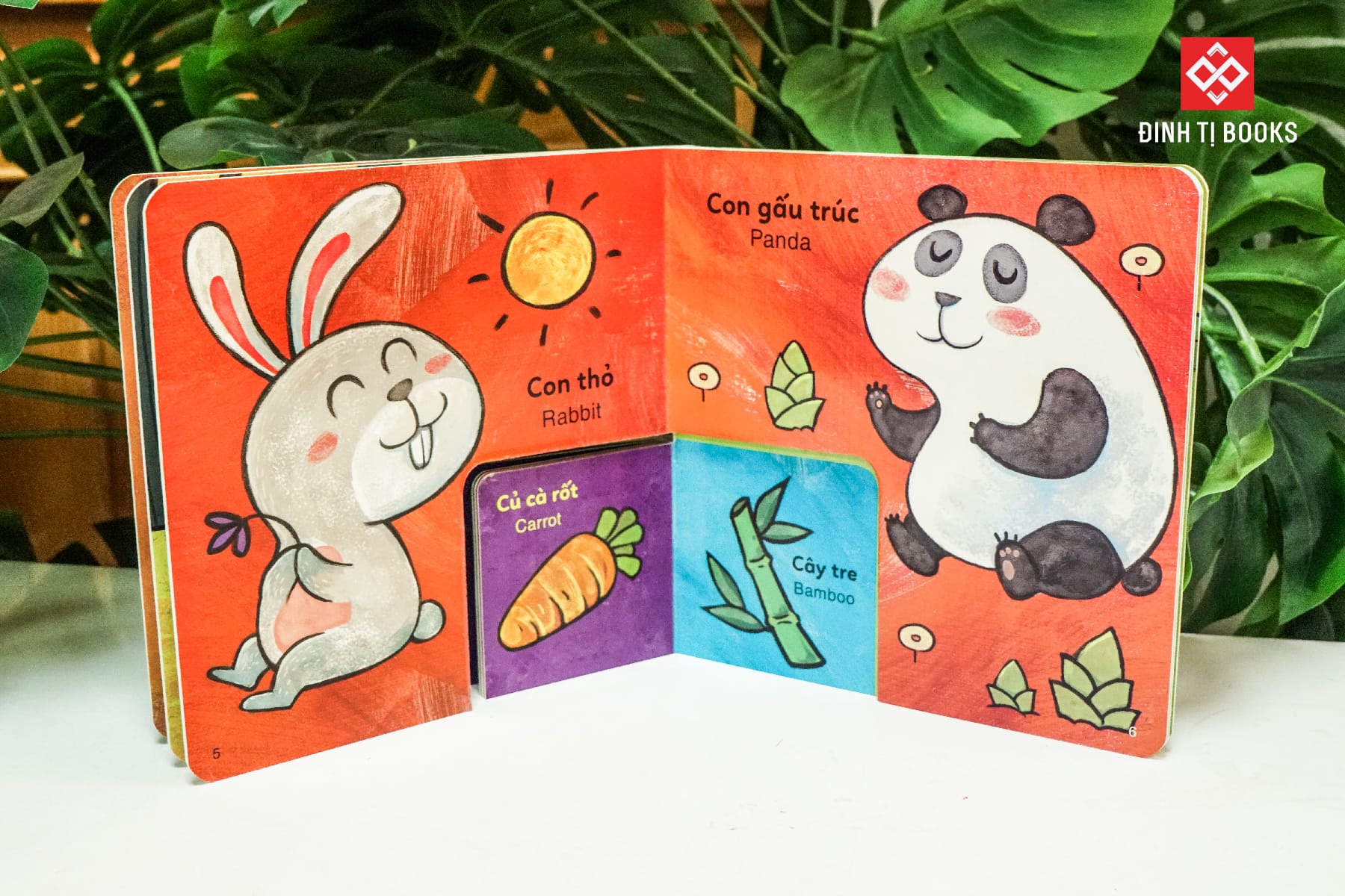 Sách - bộ sách to ôm sách nhỏ dành cho trẻ 3-6 tuổi - Đinh Tị Books