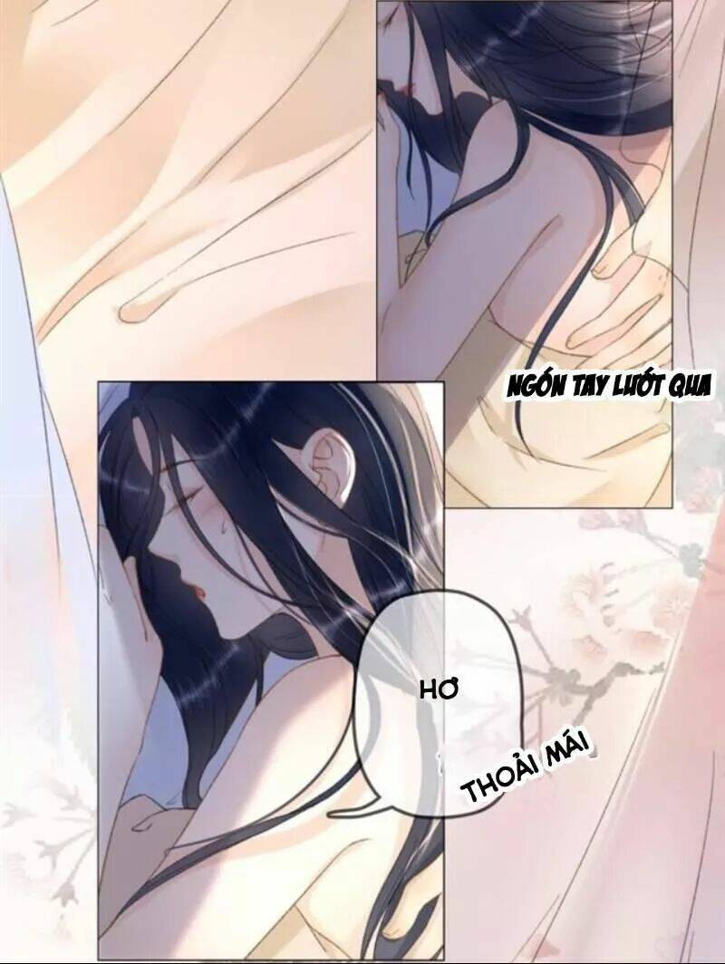 sủng phi của vương chapter 142 5