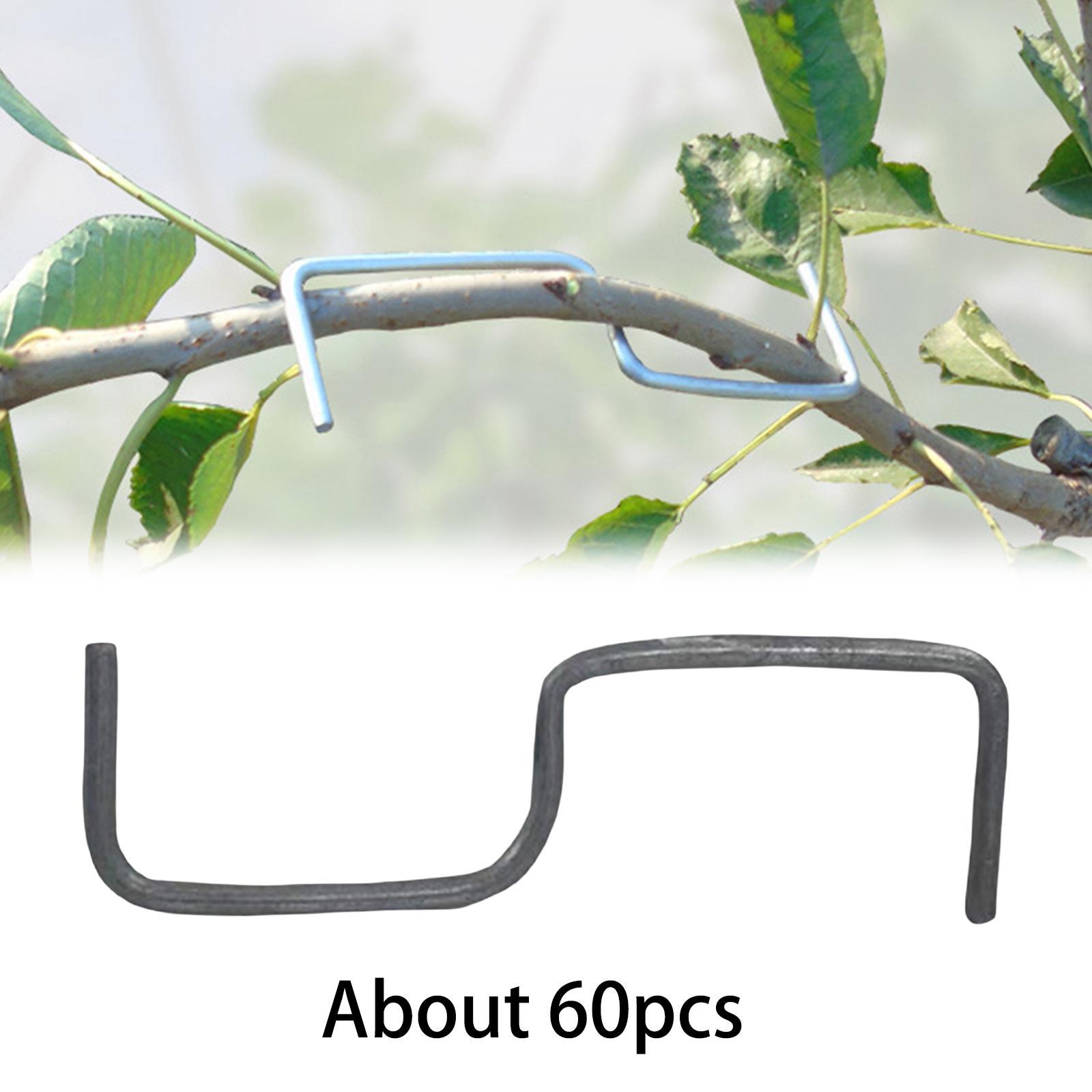 Plants Stem Trainer Strong Orchard Farmer Gift Farm Tools Tree Branch Puller