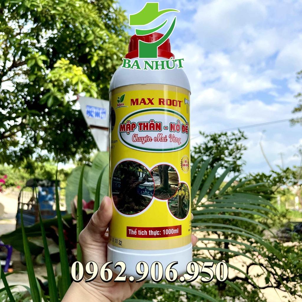 Bộ 2 Sản Phẩm BUNG ĐỌT RA RỄ + MẬP THÂN NỞ ĐẾ Dành Cho Mai Vàng
