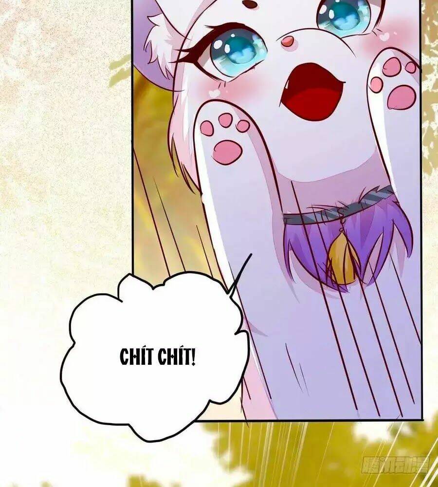 thần y khí nữ: ngự thú cuồng phi của quỷ đế chapter 73 84