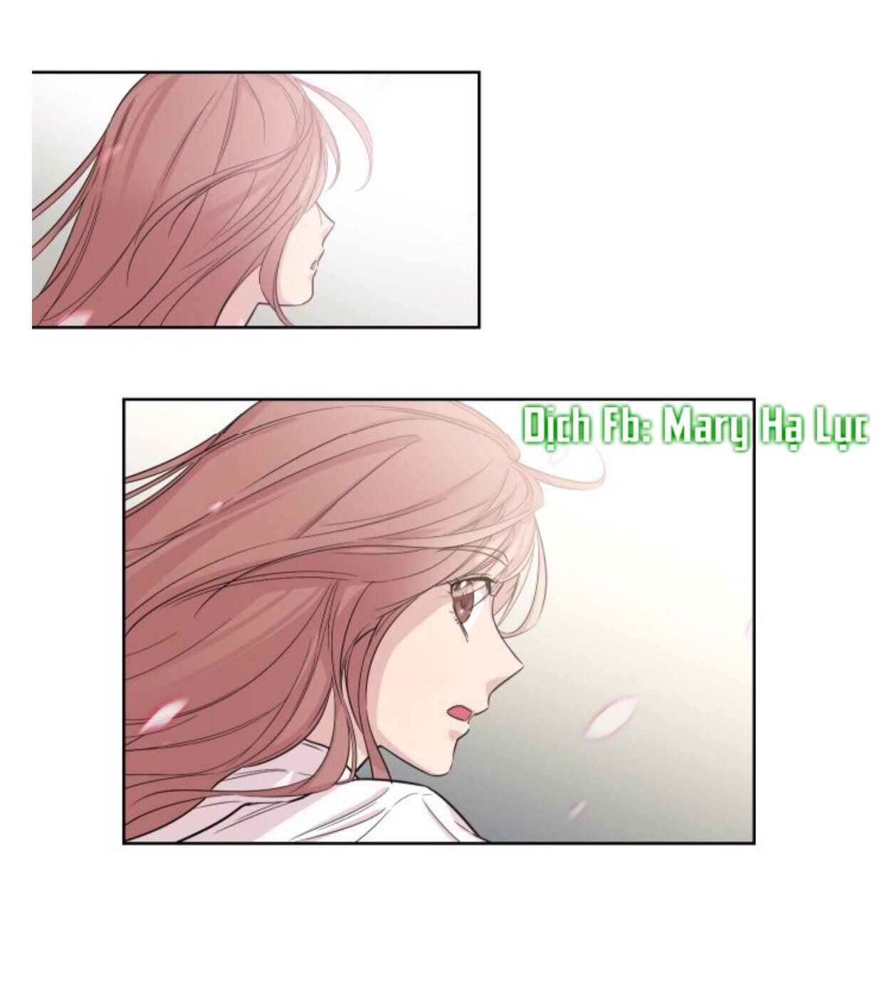 clouds in the night sky chapter 5 20