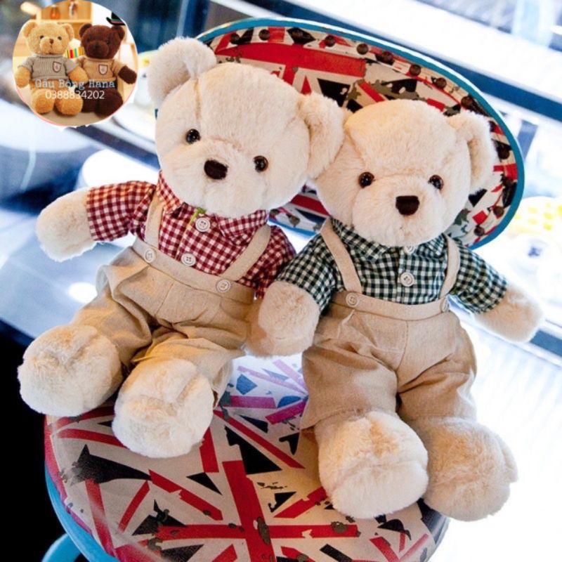 Gấu bông - gấu teddy đôi - Quà tặng cho bé kích thước 40cm - Gấu Bông Hana