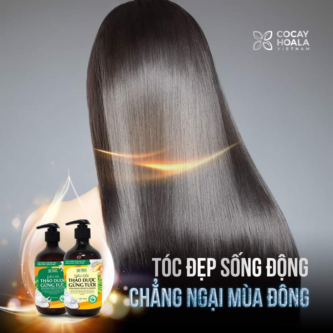 Dầu xả thảo dược gừng dừa Cocayhoala mềm mượt tóc, dưỡng tóc, phục hồi hư tổn dung tích 440g -95%thành phần từ gừng tươi hữu cơ còn nguyên xơ gừng an toàn cho mẹ bầu mẹ sau sinh