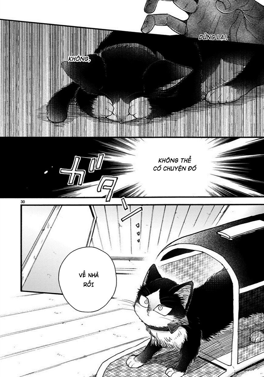 doukyonin wa hiza, tokidoki, atama no ue chapter 7.5 14