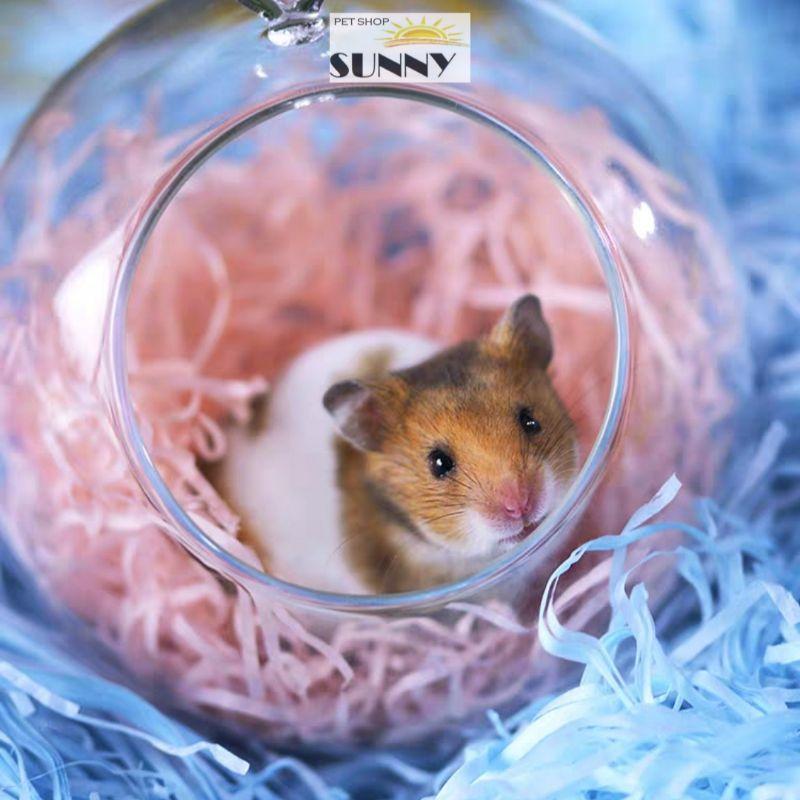 Giấy rơm lụa giữ ấm, lót ổ, trang trí chuồng hamster sóc