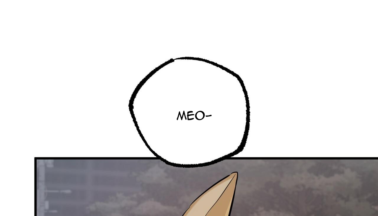 đàn thỏ của habibi chapter 47 273