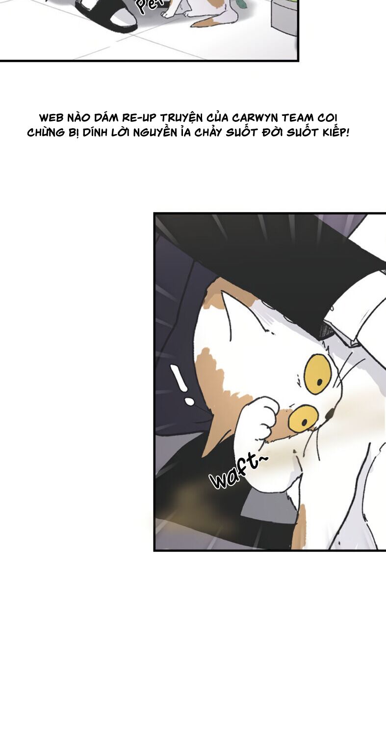 ba người anh trai cực phẩm của tôi chapter 4 21