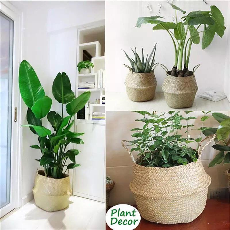 Giỏ Cói Trồng Cây Cảnh Trong Nhà Cỡ Lớn Có Quai Xách Độc Đáo - Giỏ Đựng Đồ Đa Năng Thân Thiện GC-002