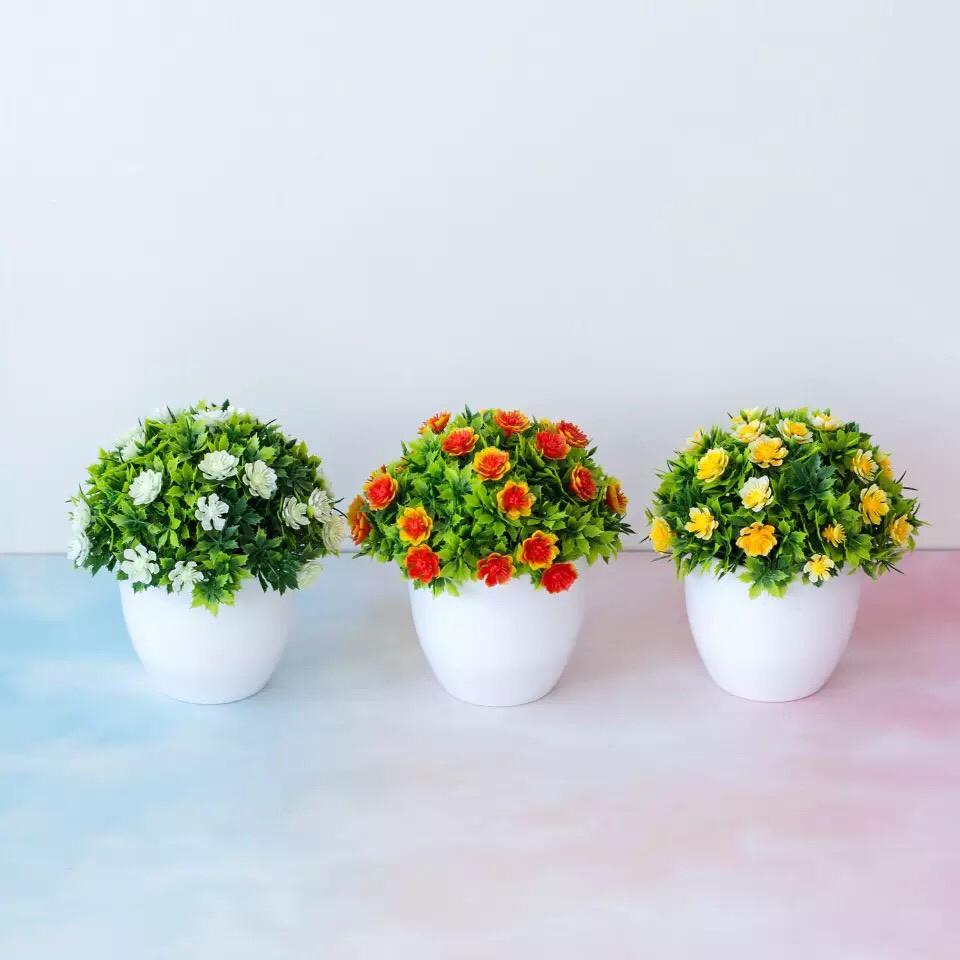 Chậu cây cảnh mini để bàn làm việc kích thước 15x14cm