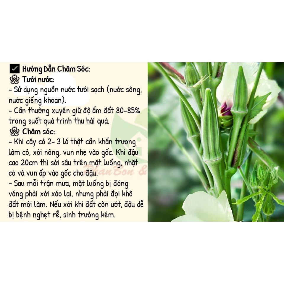 Hạt Giống Đậu Bắp 5 Cạnh Trái Trắng Cây Lùn - Phú Nông Seeds - Gói 10g - Shop Phân Bón và Hạt Giống