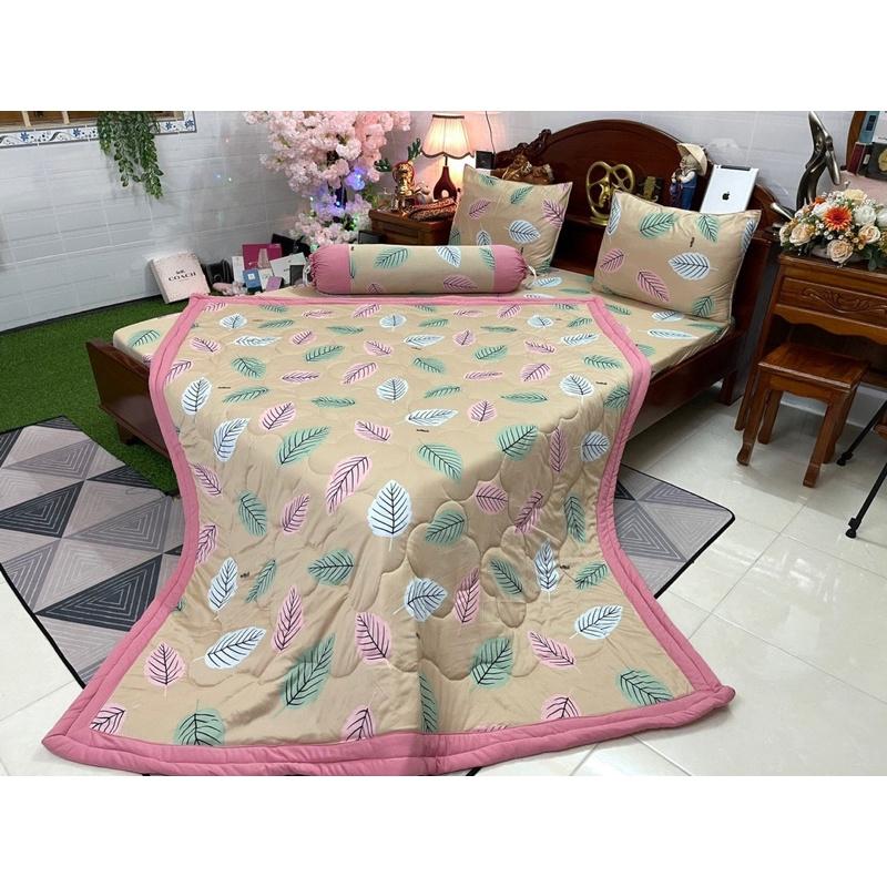 Drap thun hàn quốc