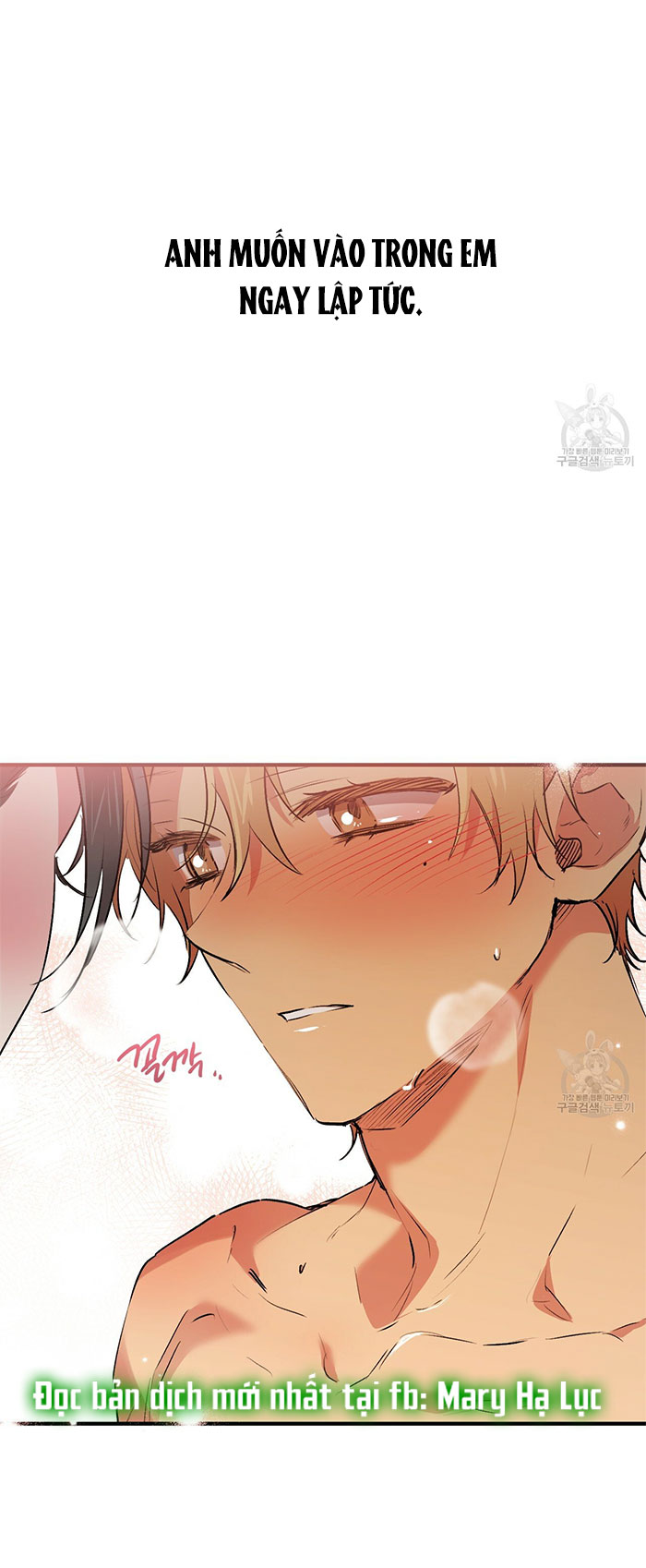 những chú thỏ của hapypy chapter 43 56