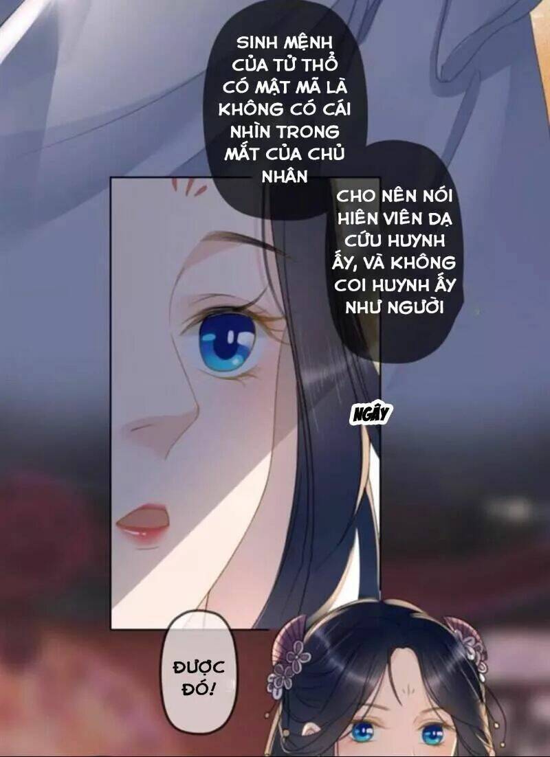 sủng phi của vương chapter 144 20