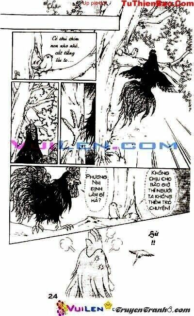 đóa hoa yêu kiều chapter 1 25