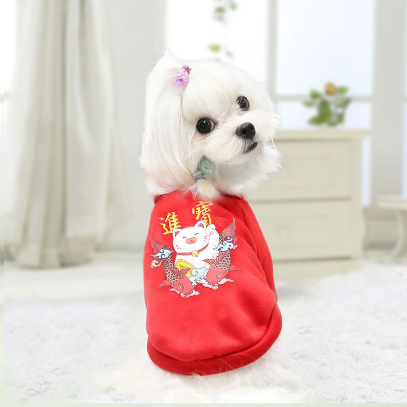 Áo Tết Nhâm Thìn cho thú cưng chó mèo - Vừa đẹp vừa giữ ấm mùa Tết