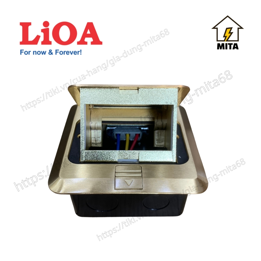 Ổ cắm điện âm sàn LiOA - Ổ đôi 3 chấu