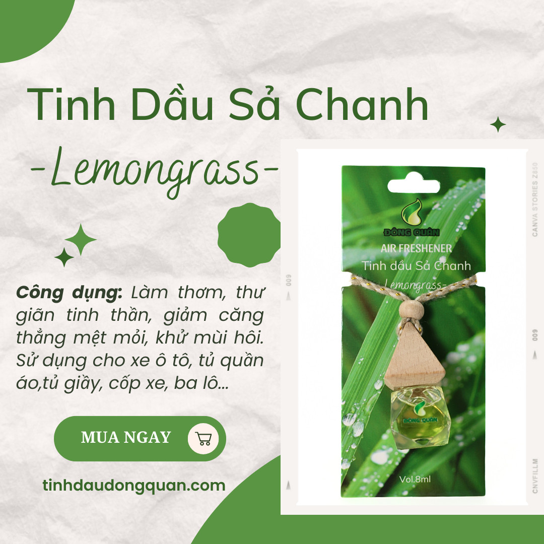 Tinh Dầu Treo Xe Ô Tô, Phòng Ngủ, Nhà Vệ Sinh, Tủ Quần Áo, Tủ Giầy, Bỏ Cốp Xe, Balo Giúp Làm Thơm, Thư Giãn, Khử Mùi Hôi