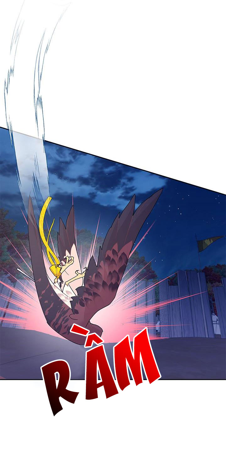 công chúa của loài chim chapter 38.1 16