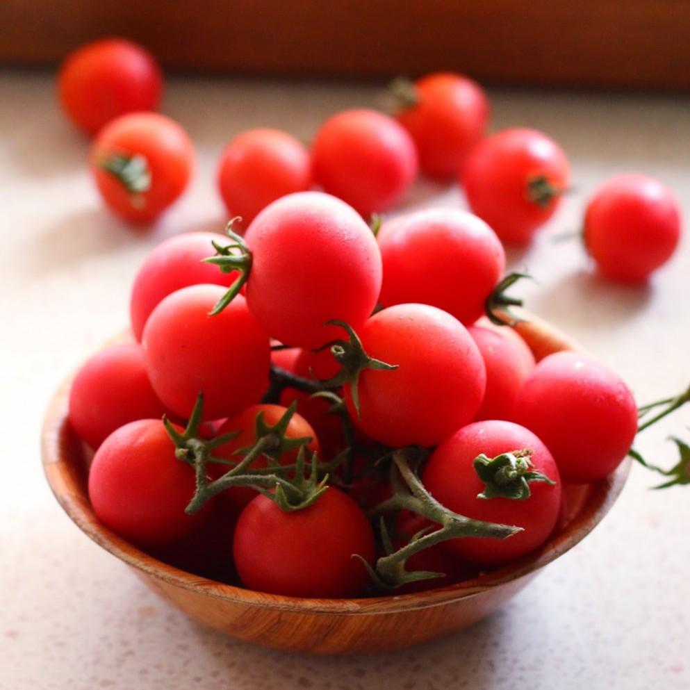 Cà chua cherry đỏ lùn F1 - cây lùn (siêu trái) gói 20hạt