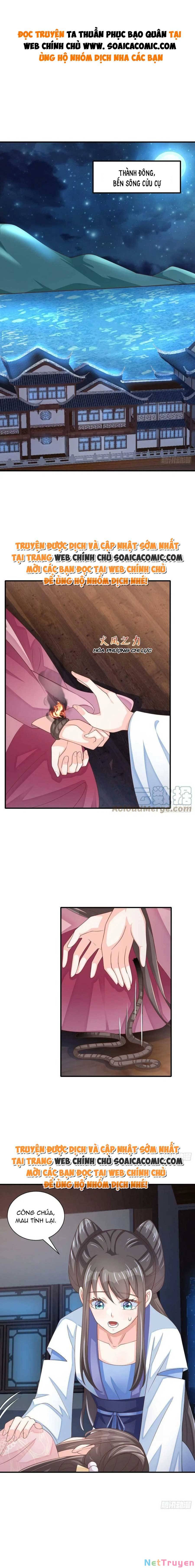 thuần hóa ba ba bạo quân chapter 58 1