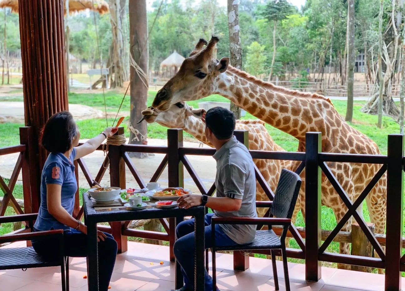 Vé VinWonders Safari Phú Quốc