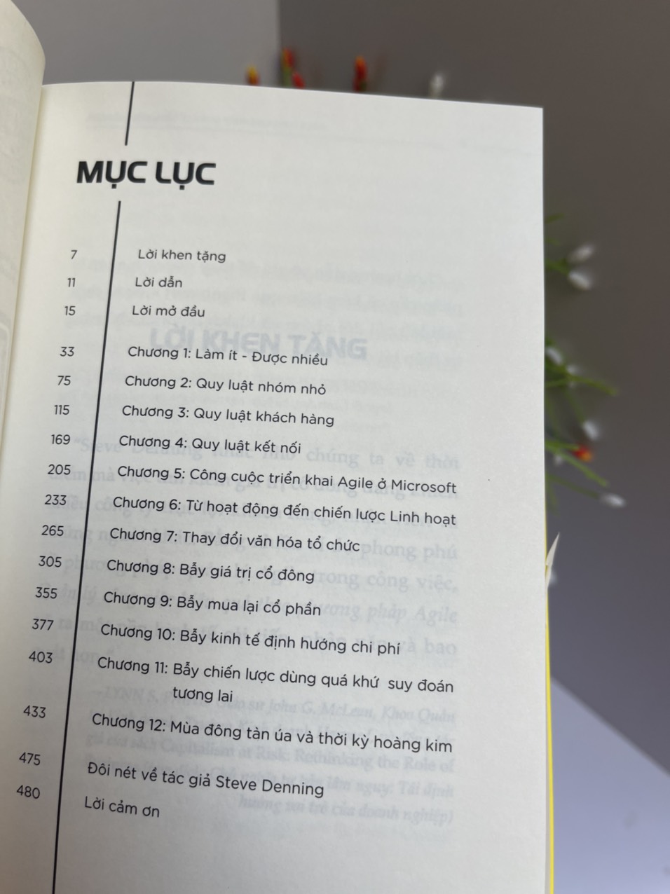 AGILE - PHƯƠNG PHÁP QUẢN LÝ CÔNG VIỆC HIỆU QUẢ - Stephen Denning - Lê Hồng Phương Hạ dịch– 1980 Books – NXB Thanh Niên