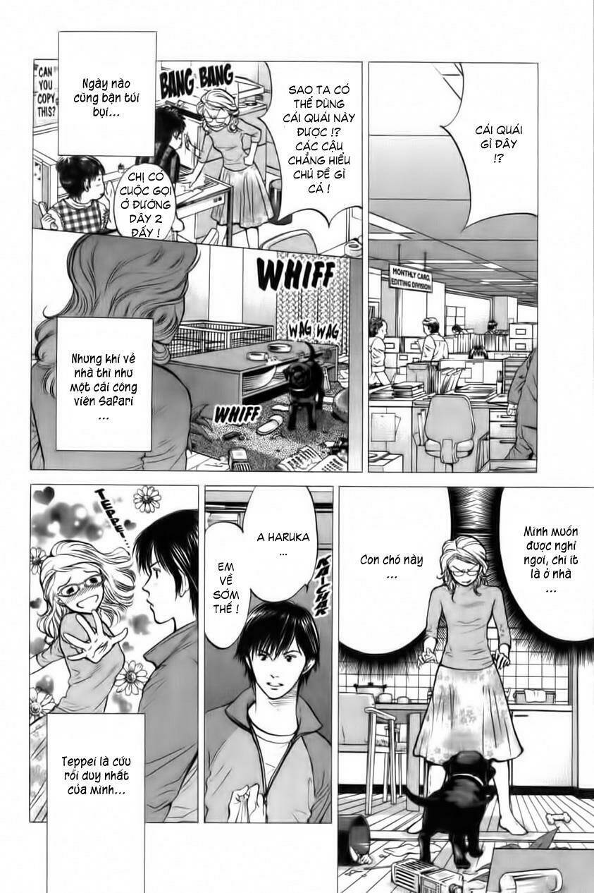 cô nàng yêu chó chapter 32 8