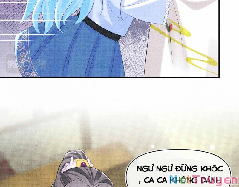 nhóc con người cá 3 tuổi rồi chapter 233 20