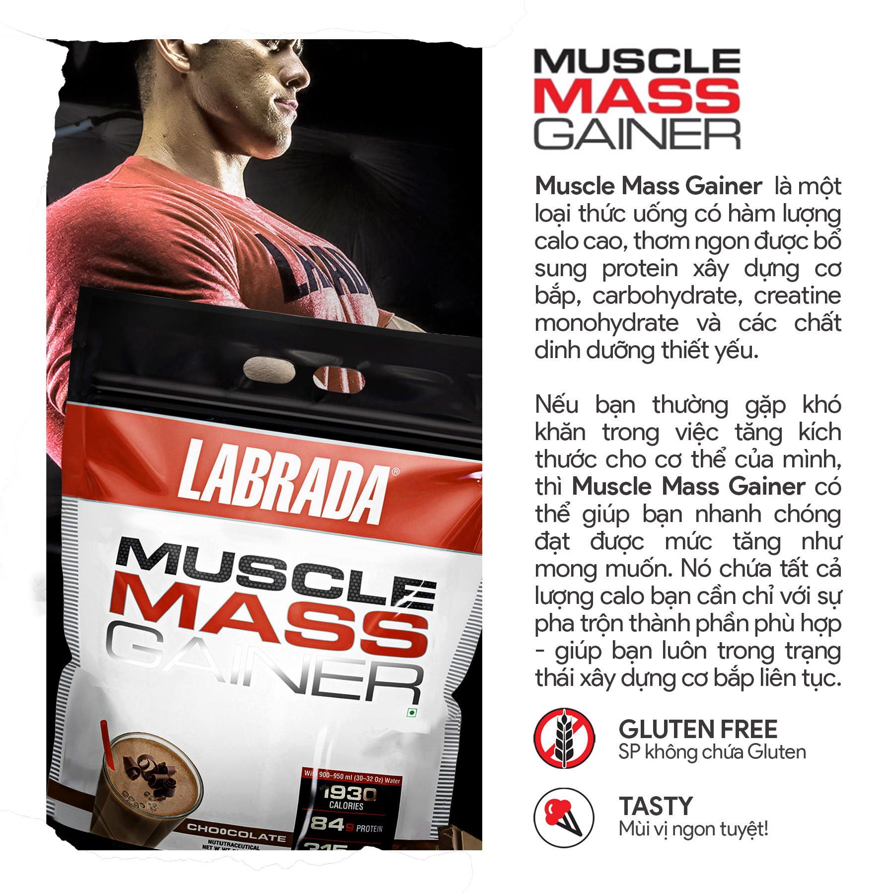 Combo Thực phẩm bổ sung Sữa hỗ trợ Tăng cân Tăng Cơ Muscle Mass Gainer từ Labrada + Quà tặng