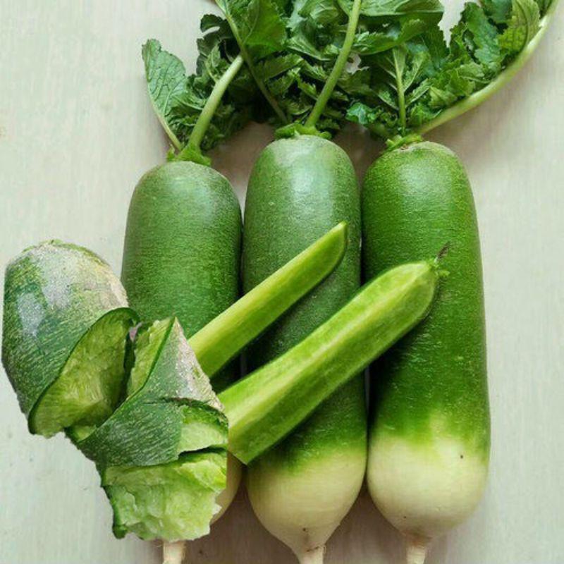 Hạt giống củ cải xanh Kimchi Hàn Quốc - gói 20 hạt