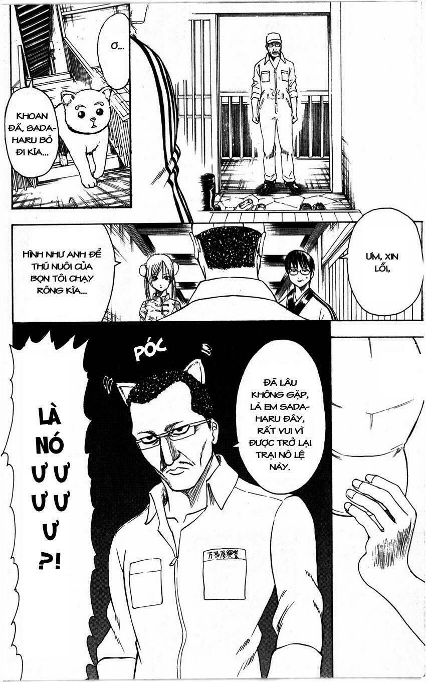 gintama - linh hồn bạc chapter 324 10