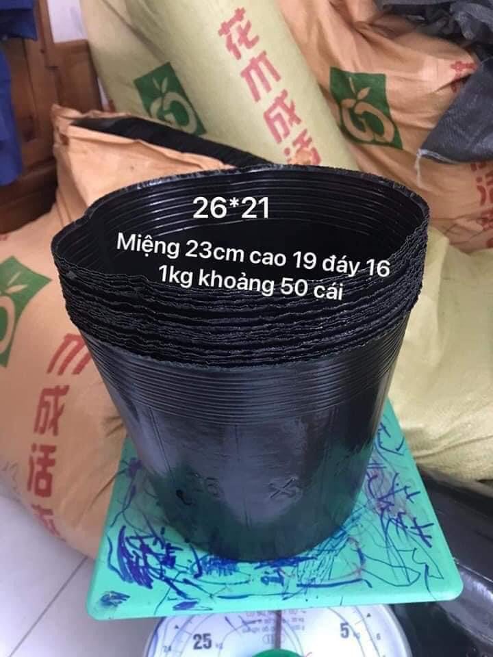 1KG BẦU ƯƠM MỀM 26X21 - 1KG : 50 CÁI