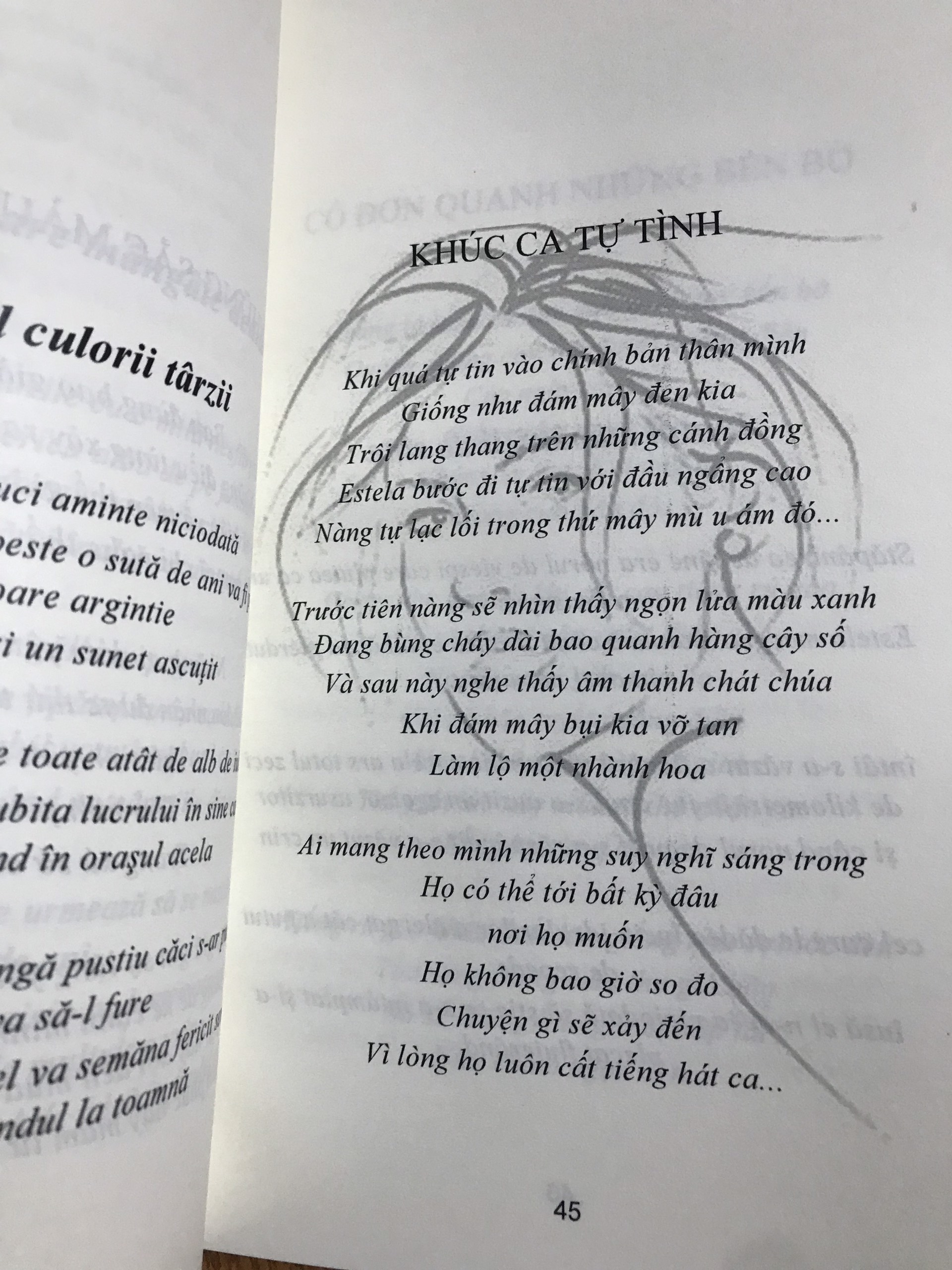 Tình Khúc: Sự Linh Thiêng Và Thảm Trạng - Stefan Dumitrescu (Văn học Rumani - Dịch giả Phạm Viết Đào ký tặng)