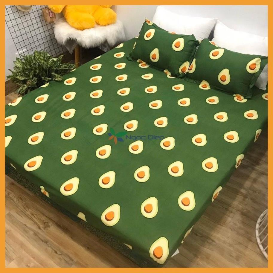 Set vỏ chăn ga gối cotton poly mẫu quả bơ m2, m6, m8, 2m2
