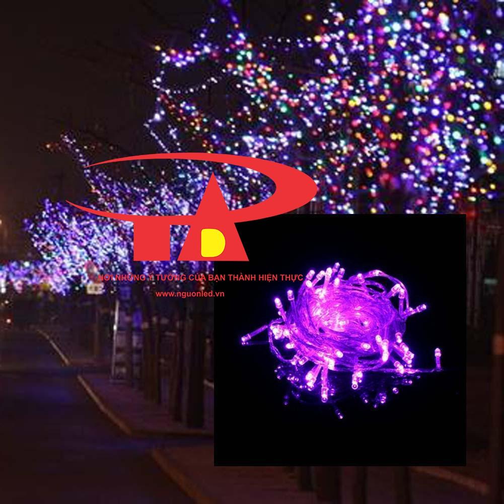 Đèn Led Chớp Trang Trí Noel Màu Vàng Nắng/ Màu Tím 7M