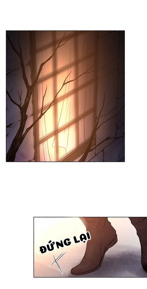 như gió trên cành cây khô chapter 3 32