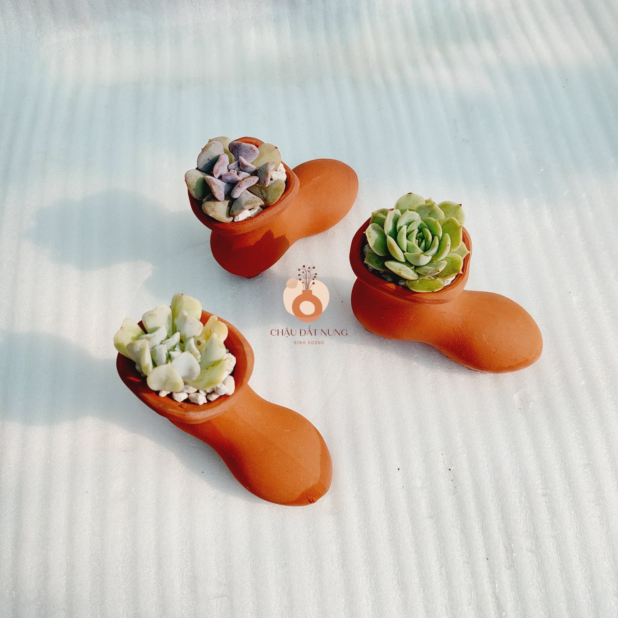 Chậu đất nung Bình Dương - Chiếc hài lọ lem, miệng chậu 4.5cm, chiều cao 7cm