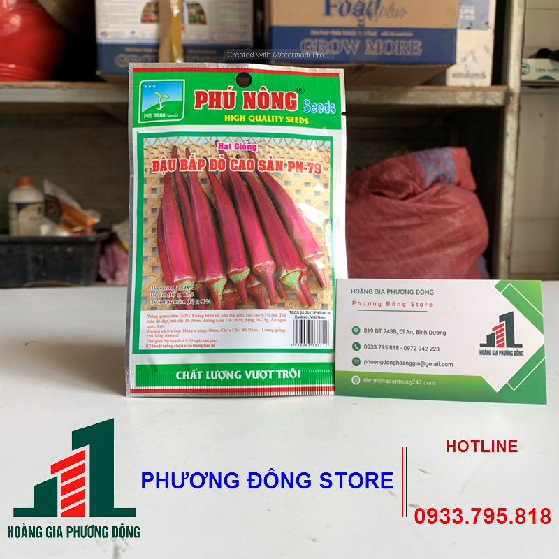 Combo 5-10 gói hạt giống đậu bắp đỏ cao sản PN-79 kháng bệnh tốt, trồng quanh năm